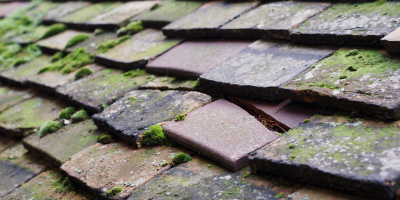 Halewood roof repair costs